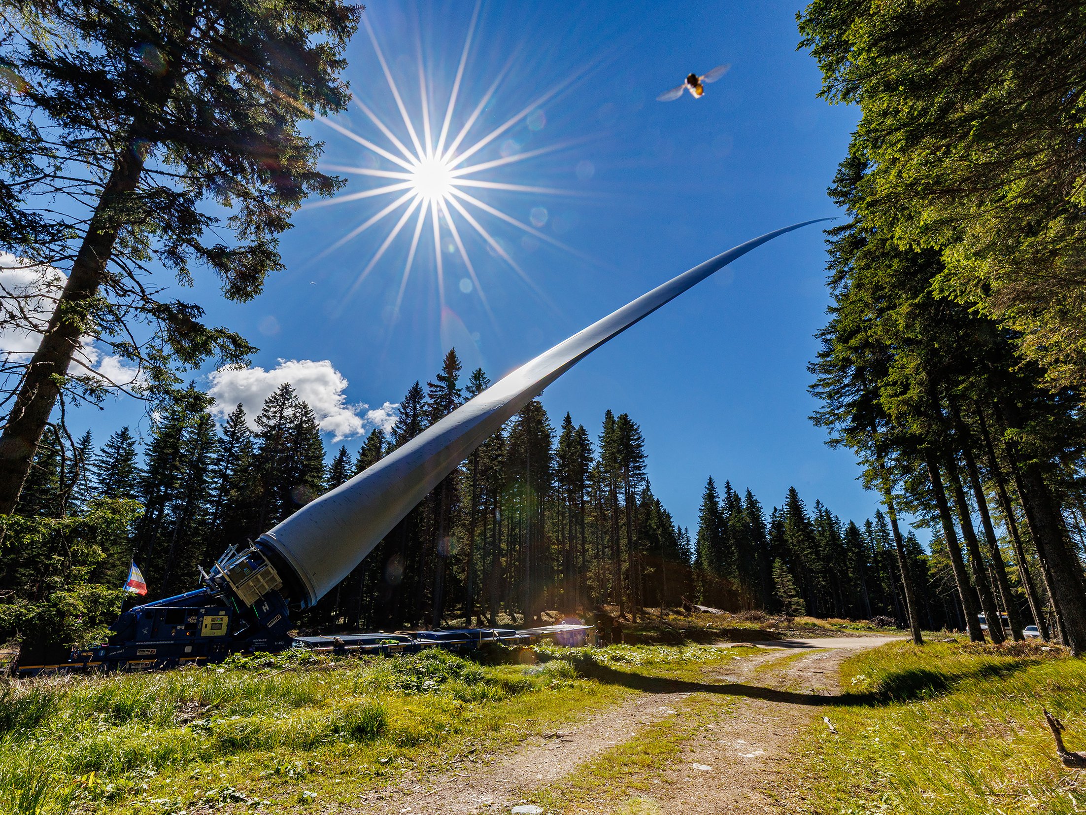 Freiländeralm