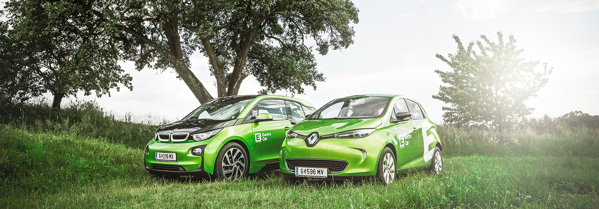 Elektroautos in der Natur