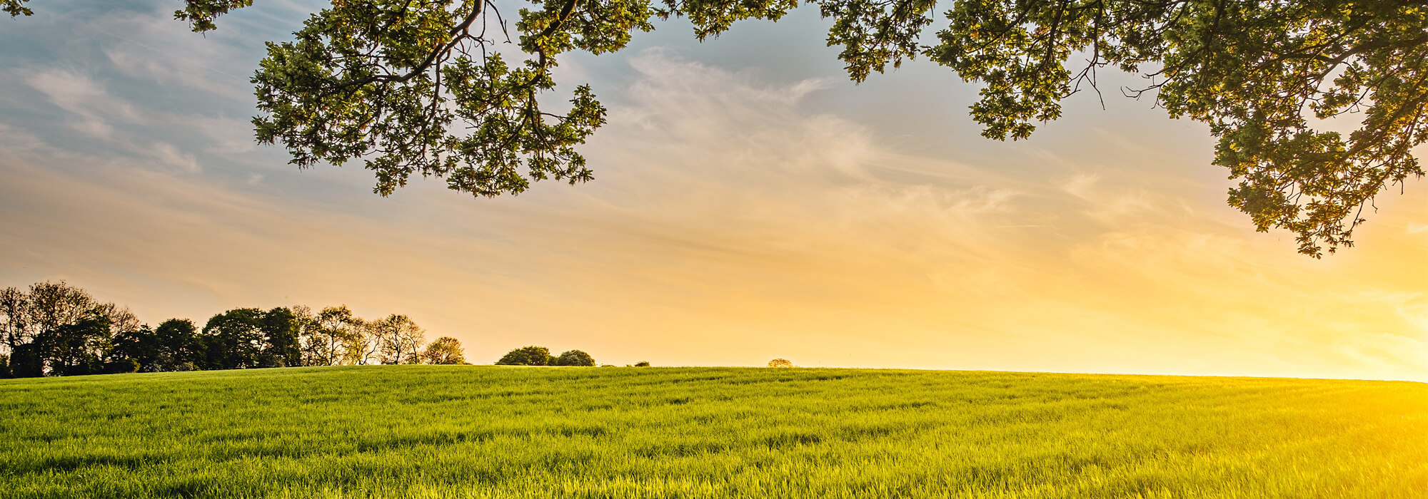 Landwirtschaft in der Steiermark